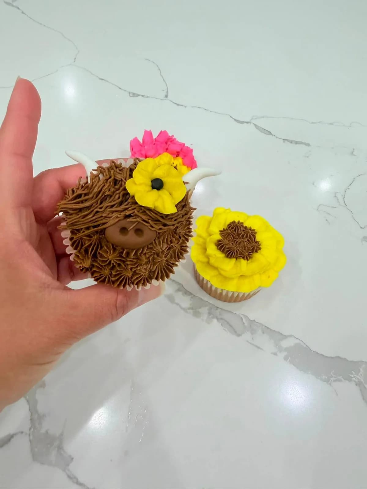 Sunflower and shaggy cow cupcake designs from a decorating class